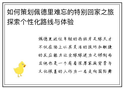 如何策划佩德里难忘的特别回家之旅探索个性化路线与体验